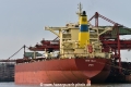 New Elly (KB-D120323-01).jpg