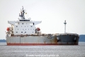 Q Shea KH-240716-2.jpg