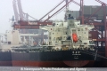 Cui Ping Feng (KB-D061111-01).jpg