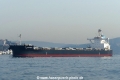 Brenda (OK-100917-2).jpg