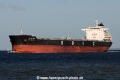 Guo Tou 305 JG-070615-01.jpg