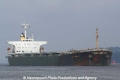KN Trader (KB-D220607-02).jpg