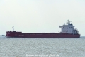 SBI Lambada (KK-070817-0).jpg