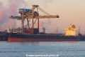 Basic Glory NT-260222-01.jpg