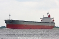 Mitose (SW-190910-08).jpg