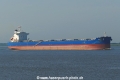 Mint (KK-120721-2).jpg