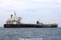 Yangtze Xing Hua OS-151013-07.jpg