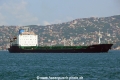 Sakhalin (OK-060814-1).jpg