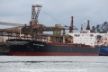 Scythia Graeca RV-071112-02.jpg