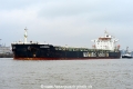 Loxandra (KB-D090317-02).jpg