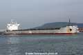 Ikan Bawal RV-310813-02.jpg