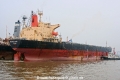 Energy Rose (280705-1-MS).jpg
