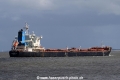 Golden Brilliant (JS-090816-22).jpg