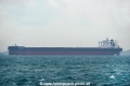 Pacific Longevity OS-021019.jpg