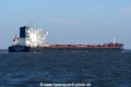 Golden Grace JG-241024-4.jpg