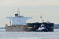 Anglo Jessica (KB-D040223-01).jpg
