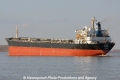 Jiu Long Feng TL-050412-3.jpg