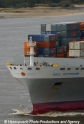 OOCL Rotterdam Bug 26904.jpg