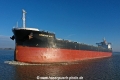 Crimson Ace KH-211122-4.jpg