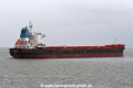 Golden Rose JG-300320-05.jpg