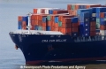 CMA CGM Bellini Bug 7704.jpg