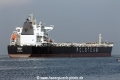 Ornak RV-08112011-03.jpg