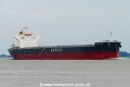 Medi Tokyo (KK-280818-1).jpg