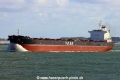 Yasa Falcon TL-081022-4.jpg