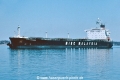 Bunga Saga Empat K-150497.jpg