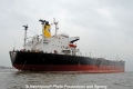 Sea Bird (011107-10).jpg