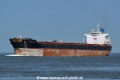 Golden Ice HK-220418.jpg