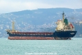 Estestar (OK-280114-2).jpg
