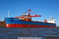 Nord Gemini 081017-13.jpg