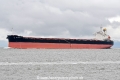 Lowlands Concord JG-100725-2.jpg