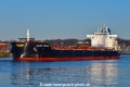 Golden Forward (KB-D050322-06).jpg