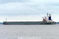 Q Shea (KK-260516-3).jpg