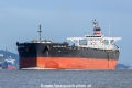 Amazing Salute (MM-031017-1).jpg