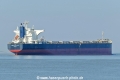 Jubilant Treasure (KK-170423-3).jpg