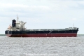 Peace Pearl (KK-070716-4).jpg