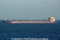 Fortune Sunny (OK-201113-2).jpg