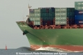 CSCL Africa Bug 24805-4.jpg