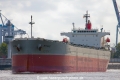 Mitose (TJ-040809-02).jpg