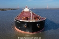 Cape Harmony KH-131120-2.jpg