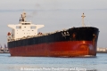 Tian Yu Feng TJ-040613-27.jpg