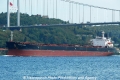 Pontodamon (OK-300913-1).jpg