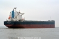 Global Star HK-190216.jpg
