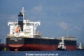 Capricorn Trader OS-080716-55.jpg