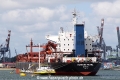 Hamburg Pearl (JS-300809-03).jpg