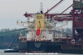 MSC Carina (KB-D041220-02).jpg