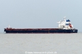 Adam 1 (KK-140816-2).jpg